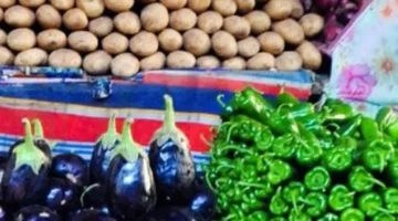 تغييرات اليوم سعر الخضراوات والفاكهة في كفر الشيخ الجمعة